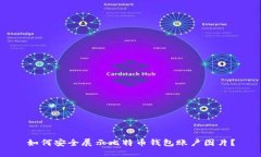 如何安全展示比特币钱包