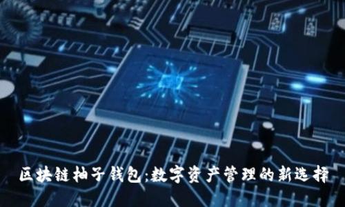 区块链柚子钱包：数字资产管理的新选择