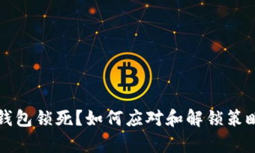 比特币钱包锁死？如何应对和解锁策略全解析