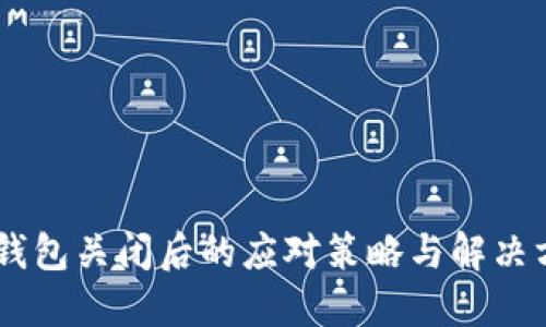 IM钱包关闭后的应对策略与解决方法