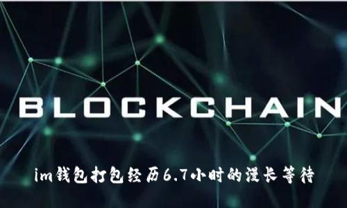 im钱包打包经历6.7小时的漫长等待