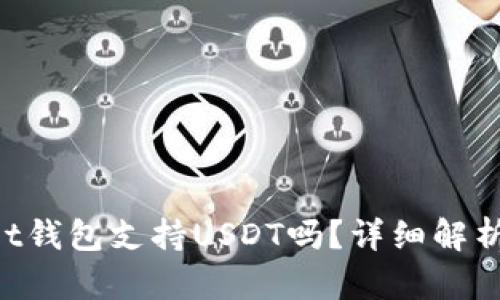 TokenPocket钱包支持USDT吗？详细解析与使用指南