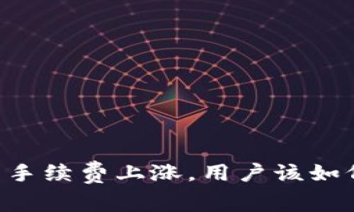 IM钱包手续费上涨，用户该如何应对？