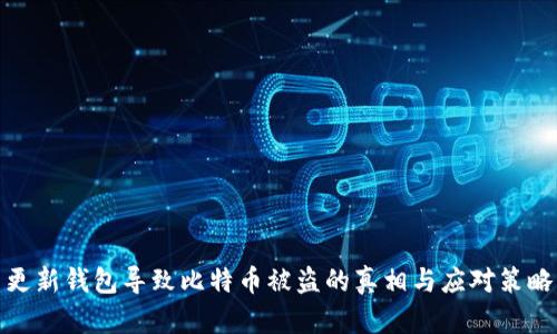 更新钱包导致比特币被盗的真相与应对策略