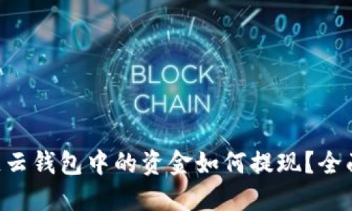 区块链云钱包中的资金如何提现？全面指南！