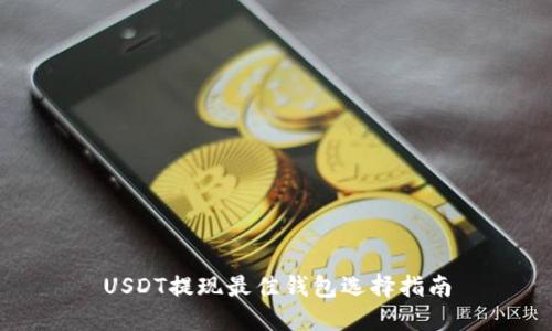 USDT提现最佳钱包选择指南