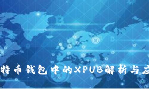比特币钱包中的XPUB解析与应用