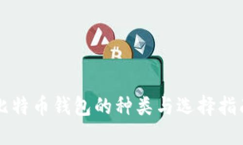 比特币钱包的种类与选择指南