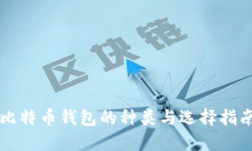 比特币钱包的种类与选择指南