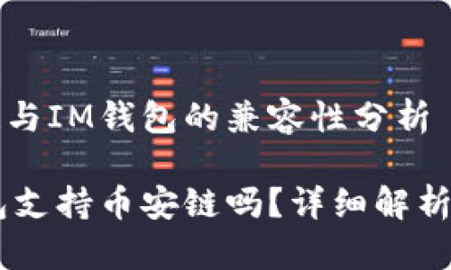 币安链与IM钱包的兼容性分析

IM钱包支持币安链吗？详细解析与指导