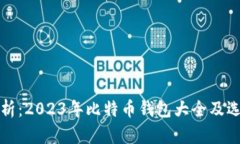 全面解析：2023年比特币钱