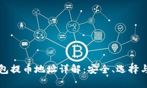 比特币钱包提币地址详解：安全、选择与操作指南
