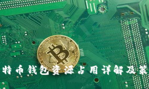 比特币钱包资源占用详解及策略