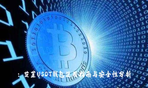 : 菠菜USDT钱包使用指南与安全性分析