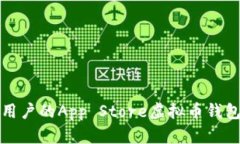 适合用户的App Store虚拟币