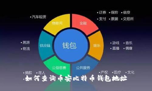 如何查询币安比特币钱包地址